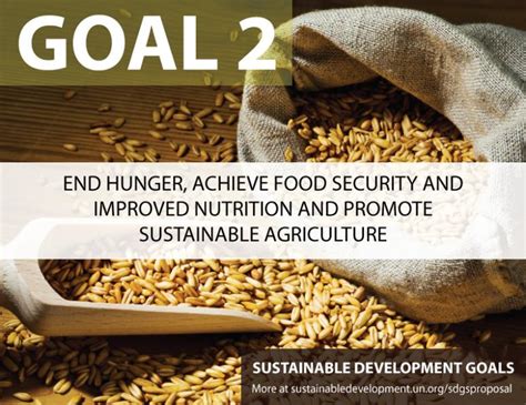 Zero Hunger: Working together to achieve the goal .
